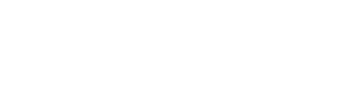 FDV Việt Nam